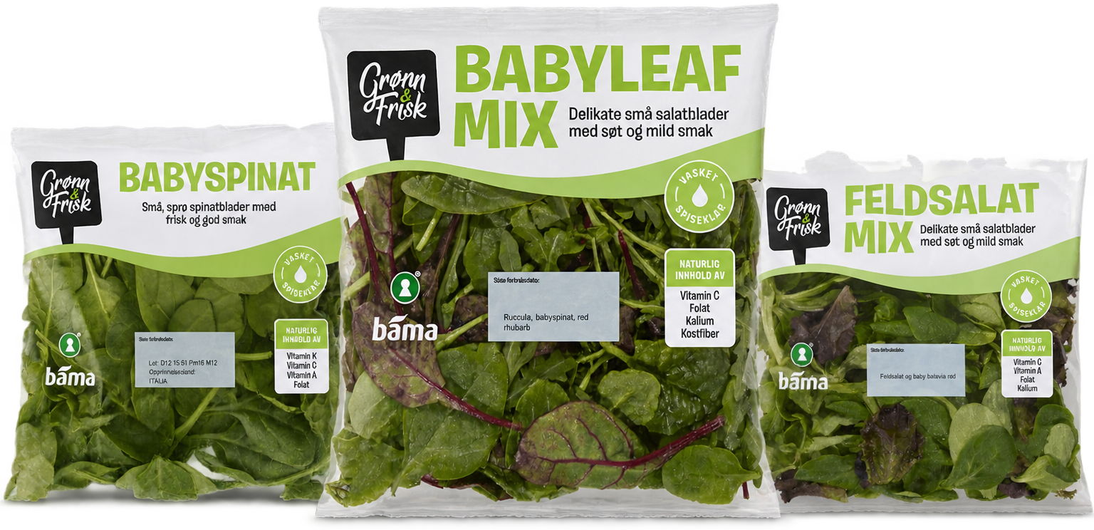 Babyleaf mix, ruccula, feldsalat mix, babyspinat